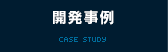 開発事例