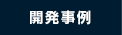 開発事例